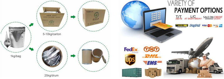 Package & Shipment