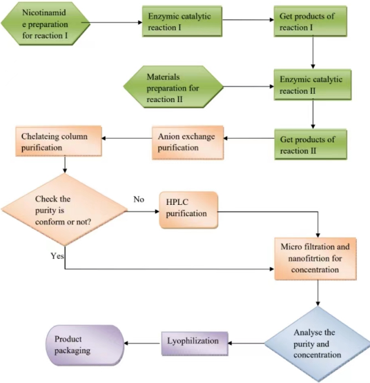 NMN Flow chart