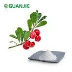 Pi Alpha Arbutin Powder