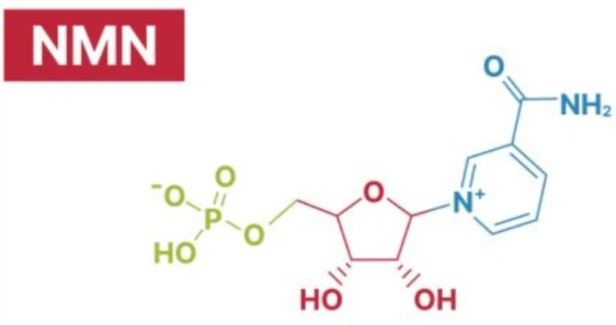NMN bulk powder NMN bulk powder